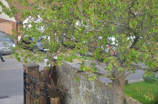 Ben, Zoe and Lara on a climbing adventure