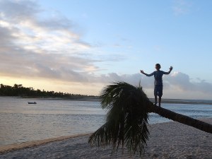Ben Climbing a Palm Tree