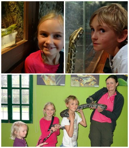 Amazing snakes at Quito Vivarium. They are all saved from illegal trade