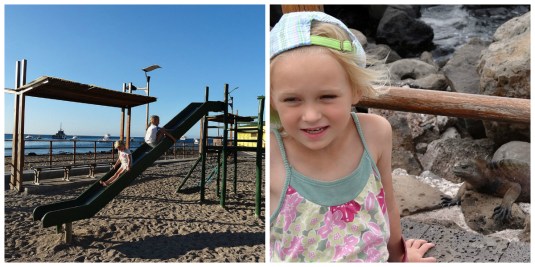 Best playground and sneezing iguanas along the Malecon, San Cristobal