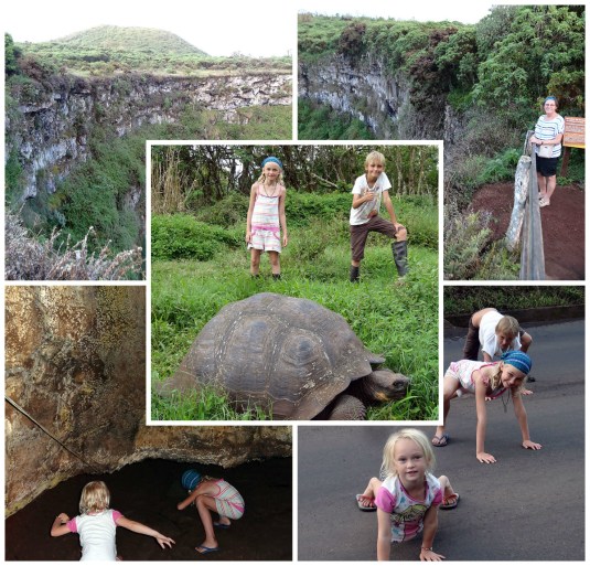 Craters, Lava tunnels and tortoises - in Santa Cruz highlands 