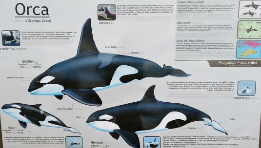 We just read the sign! :(