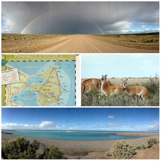 The Peninsular Valdez, Argentina, towards Patagonia, renowned for amazing wildlife and sealife - especilaly, penguins, whales, elephant seals and orcas.