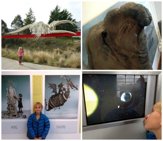 The Ecocentre Sealife museum in Puerto Madryn provides our only viewing of a (model) elephant seal, a (real) whale skeleton, a superb recycling rt exhibition and some fascinating displays about the oceans and tides.
