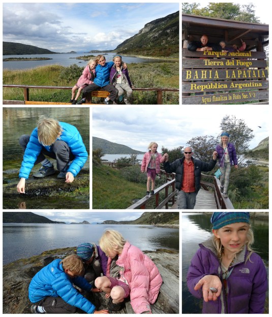 Exploring Parque Nationale Tiera del Fuego