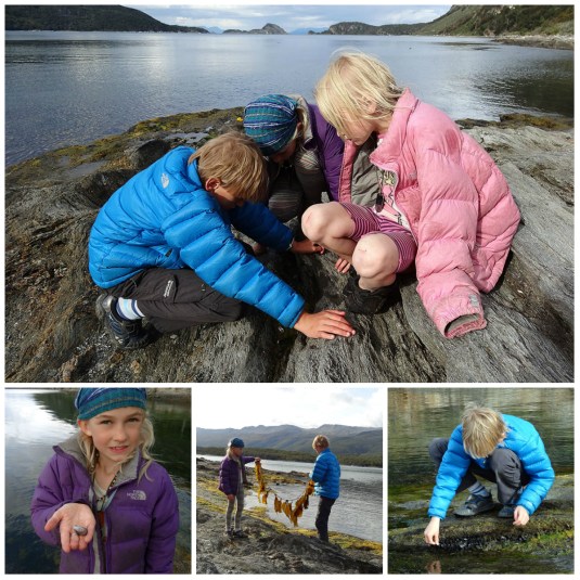 Searching for mussels like the Yamana women in Tierra del Fuego National Park