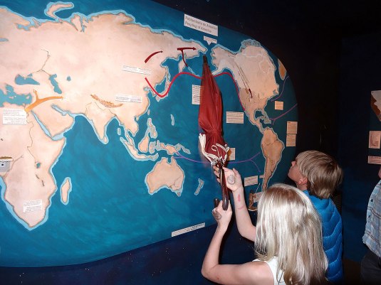 Working out where different people probably came from!