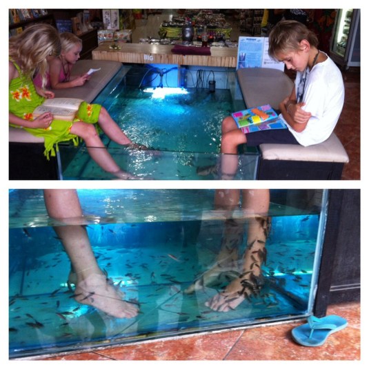 A fish foot massage in Ubud, after a visit to the library!