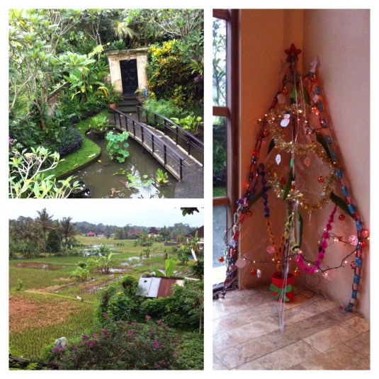 Our garden and views and homemade Christmas tree!   