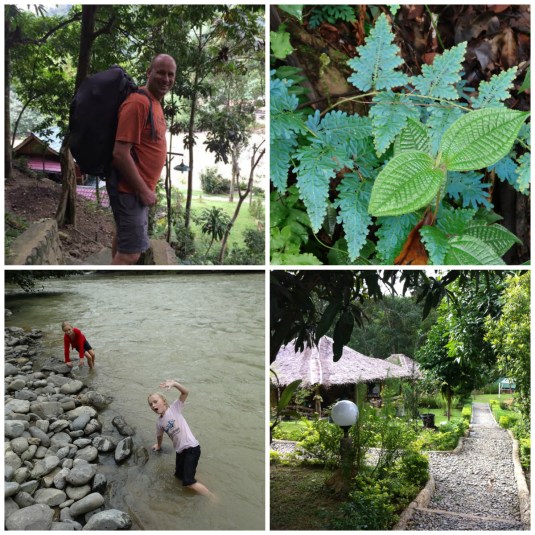 The river, the lovely bungalows at 'On the Rocks, the jungle foliage and Martin finally getting the straps out and carrying his wheely rucksack on his back up the hill! 