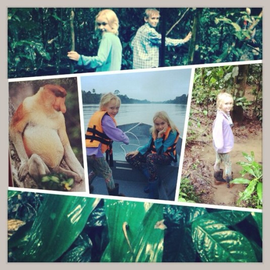 Kinabatangan River trip  