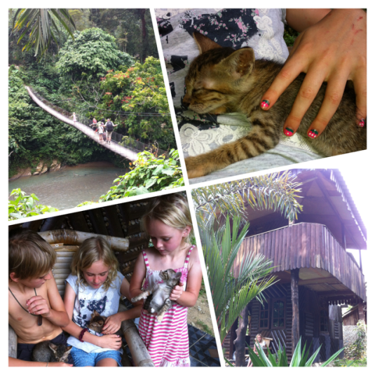 Tangkahan, deep in the jungle and over this bridge to our jungle hut, where the kids are as happy meeting kittens as elephants and snakes!  