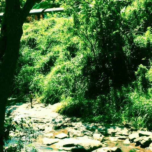  Exploring back of Kandy Guest House  