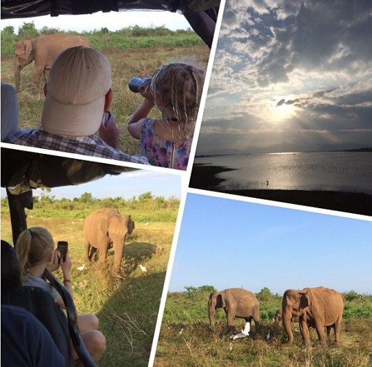 Udawalawa National Park